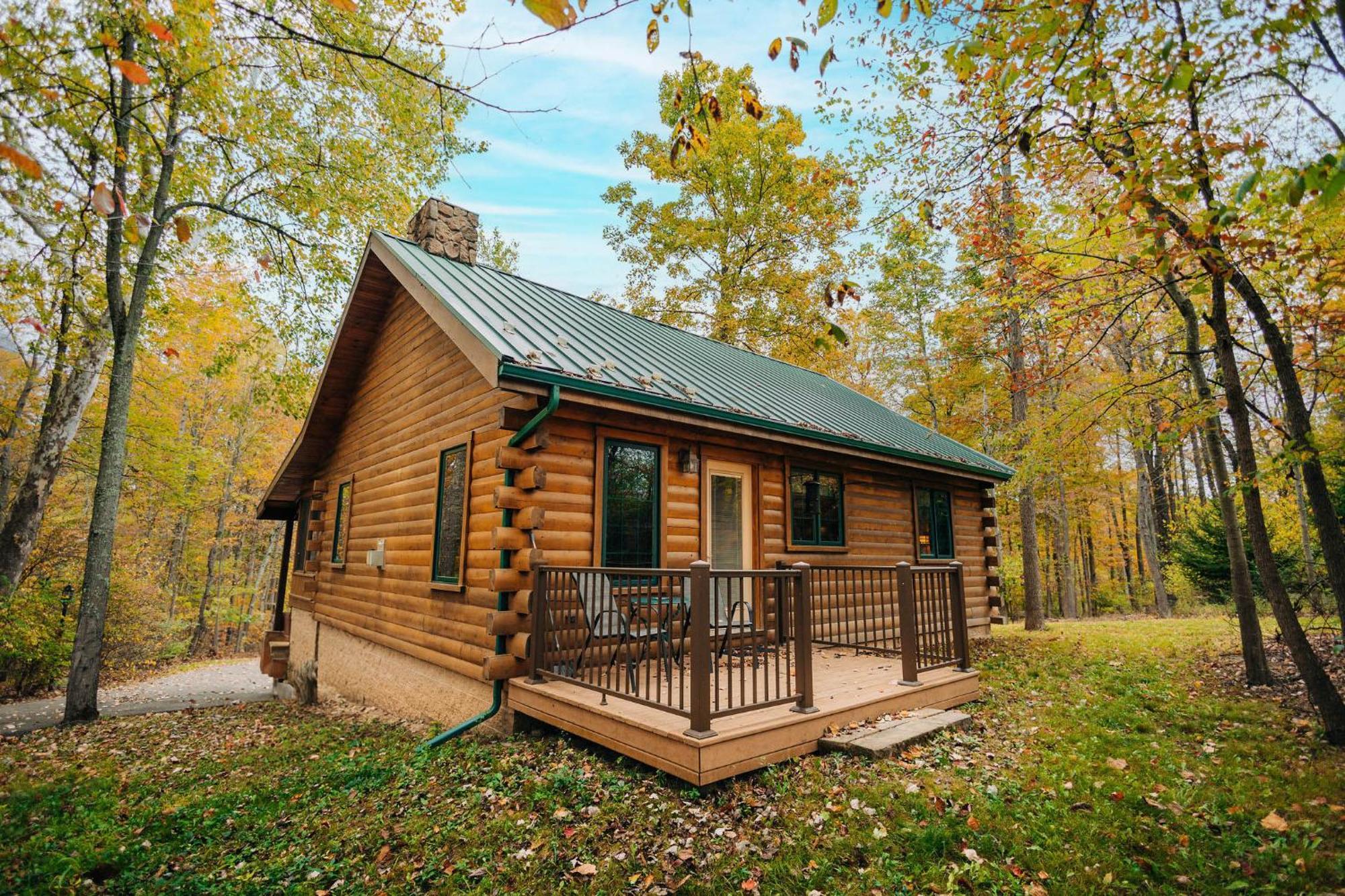 Ferngully Creek Cabins มิลเลอร์สเบิร์ก ภายนอก รูปภาพ